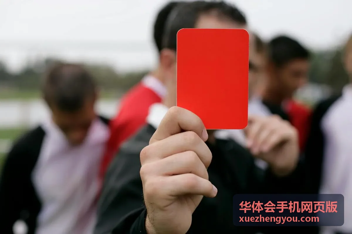 华体会手机网页版移动端入口指南配图